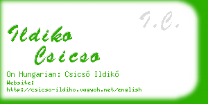 ildiko csicso business card